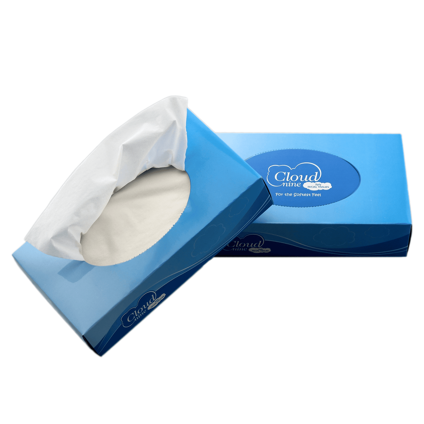 Beautiful Earth Cloud 9 Facial Tissues Box - 10 units per pack natural hospitality guest amenity