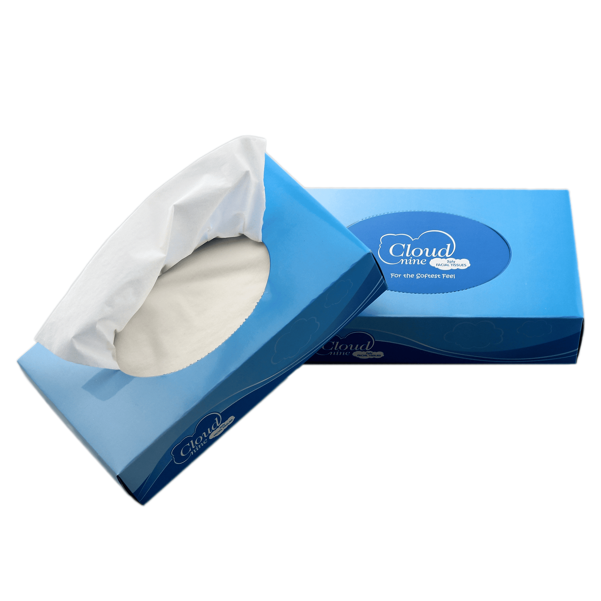 Beautiful Earth Cloud 9 Facial Tissues Box - 10 units per pack natural hospitality guest amenity